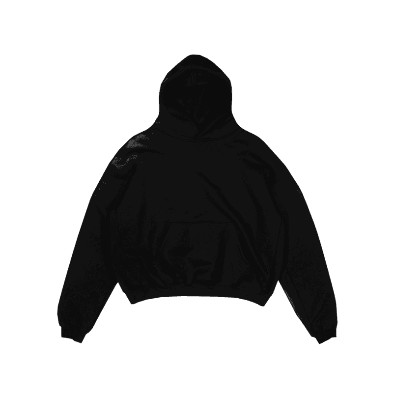 Race Sweat à capuche